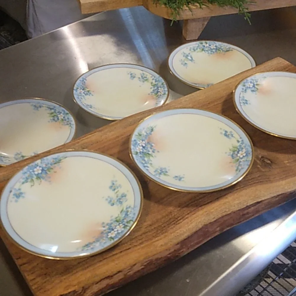 C. Hutschenreuther Company IT Uno Favorite Bavaria Plates